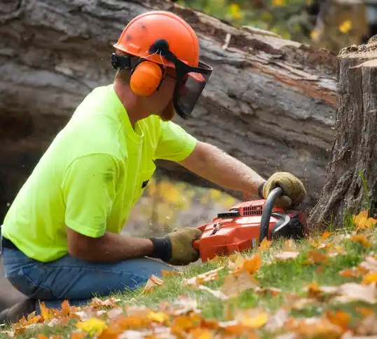 tree services White Lake